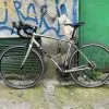 Trek Domane AL4